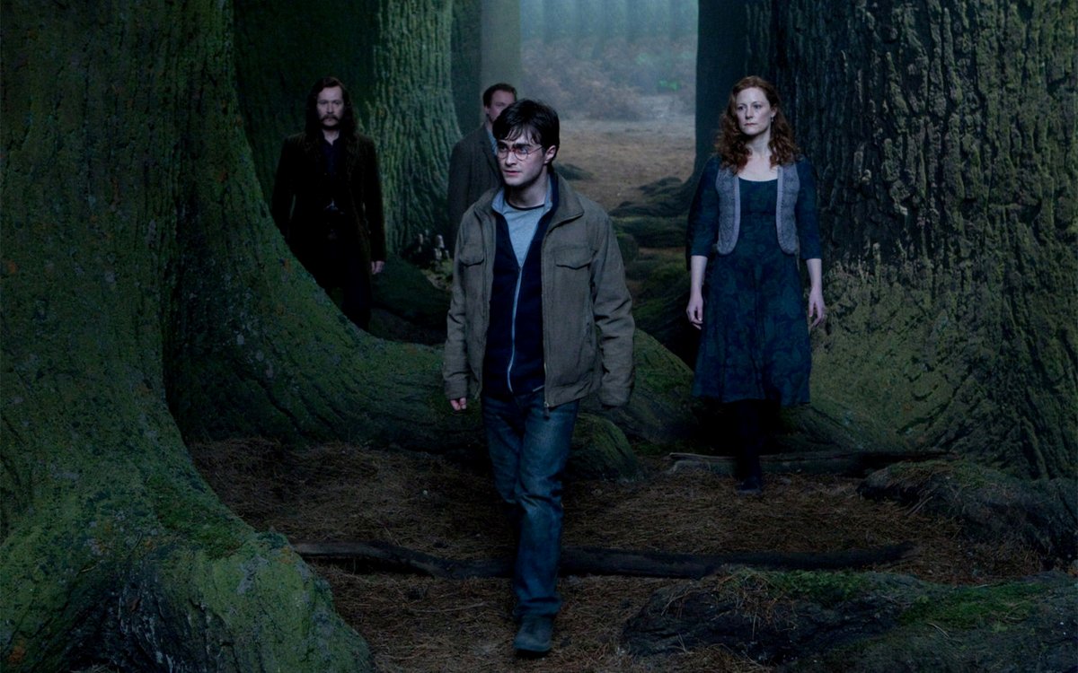 Harry walks into the Forbidden Forest to face his death with ghosts of Lily, Sirius and Remus behind him.