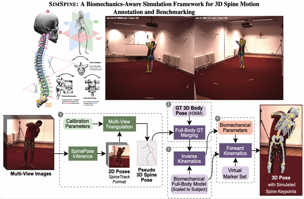 SIMSPINE: A Biomechanics-Aware Simulation Framework for 3D Spine Motion Annotation and Benchmarking
