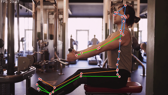 Sagittal view of a person doing seated cable rows in a gym